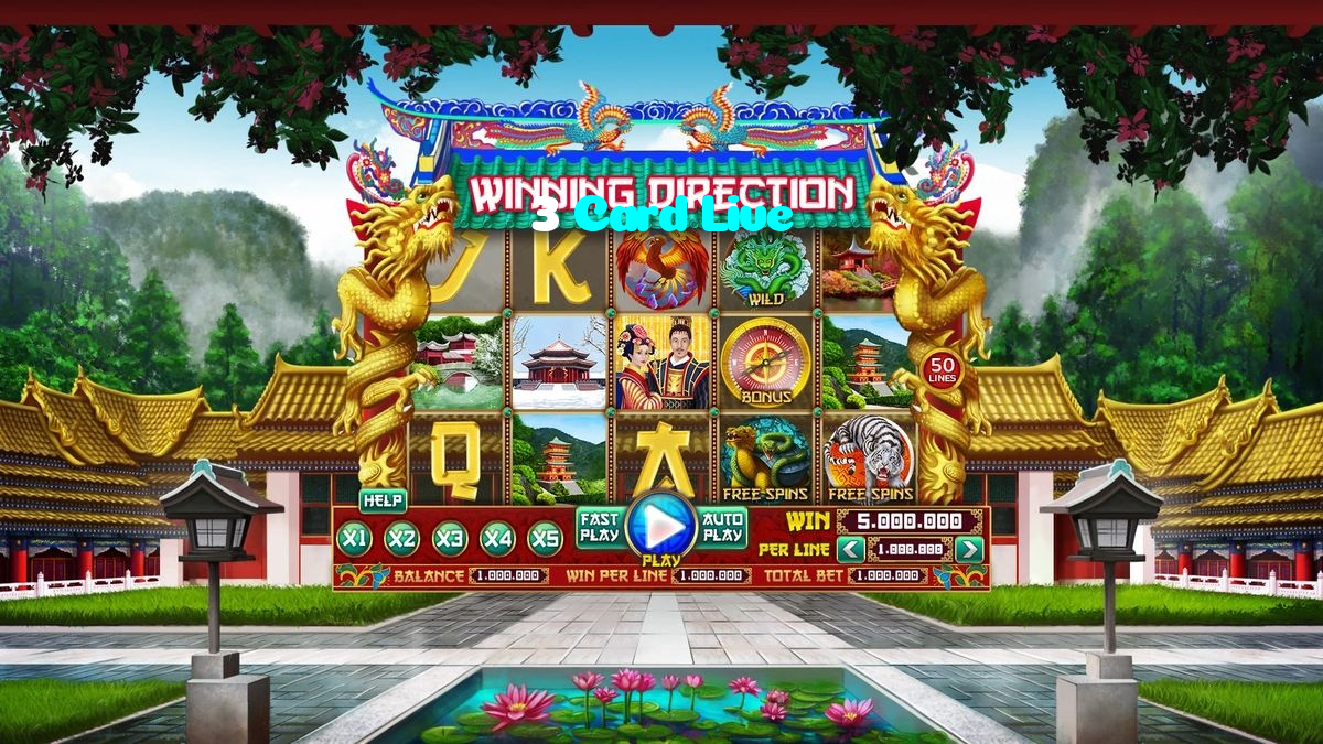 available types of 3 Card Live bet including pre-match live express and system bets